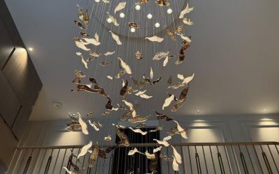 WhatsApp Image 2025-05-16 at 8.29.11 PM